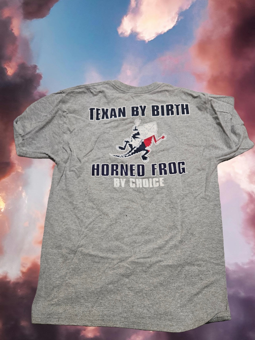 Champion Gray 'Texan By Birth' Horned Frog Graphic Tee